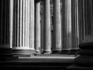 pexels alexey derevtsov 8755742